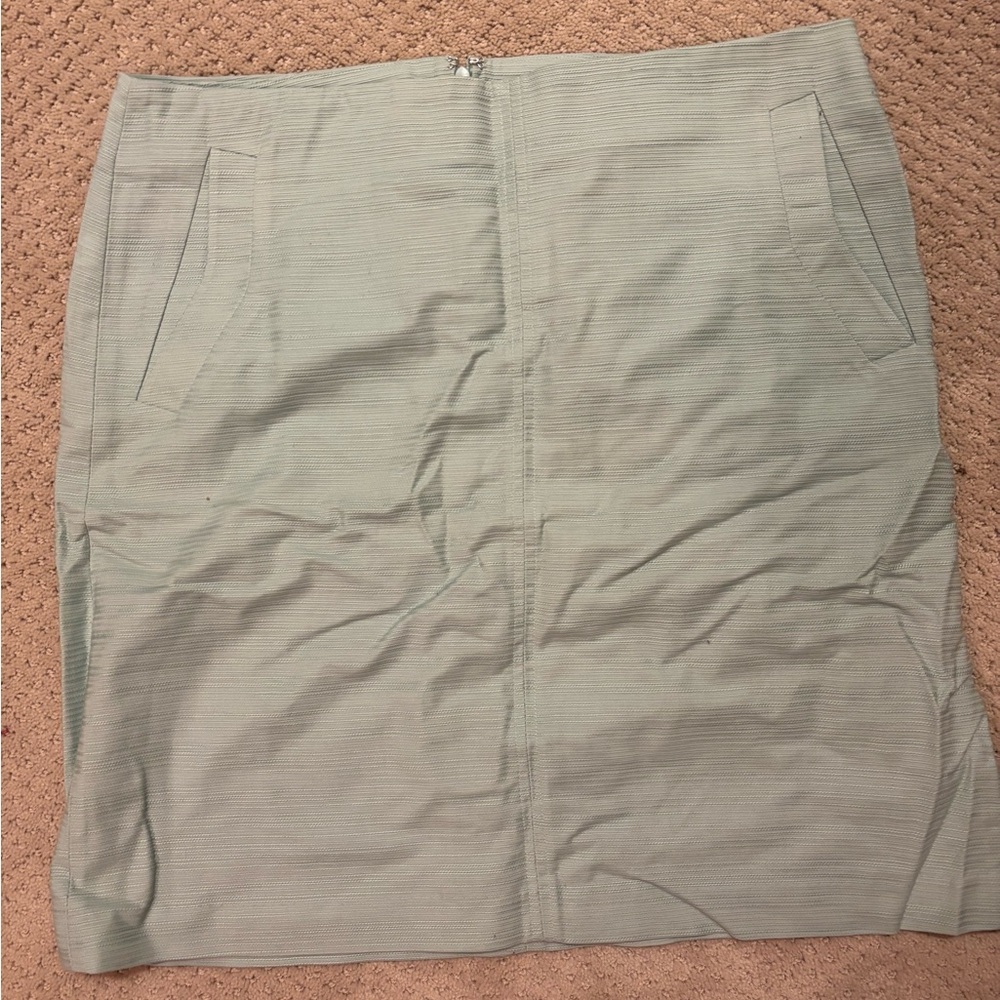 Ann Taylor A line skirt NWT